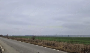 Teren 5.5 ha, de vanzare, Aricestii Rahtivani, jud Prahova - imagine 5