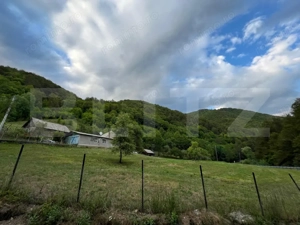 Casa 100 mp utili 4 camere 1,6 ha teren aproape de Trans Apuseana  - imagine 3 Casa 100 mp utili 4 camere 1,6 ha teren aproape de Trans Apuseana  - imagine 3
