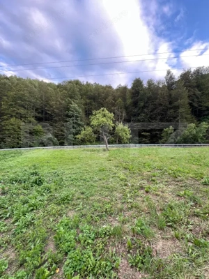 Casa 100 mp utili 4 camere 1,6 ha teren aproape de Trans Apuseana  - imagine 5 Casa 100 mp utili 4 camere 1,6 ha teren aproape de Trans Apuseana  - imagine 5
