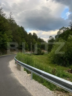 Casa 100 mp utili 4 camere 1,6 ha teren aproape de Trans Apuseana  - imagine 7 Casa 100 mp utili 4 camere 1,6 ha teren aproape de Trans Apuseana  - imagine 7