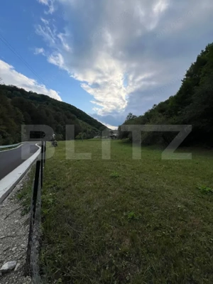 Casa 100 mp utili 4 camere 1,6 ha teren aproape de Trans Apuseana  - imagine 6 Casa 100 mp utili 4 camere 1,6 ha teren aproape de Trans Apuseana  - imagine 6