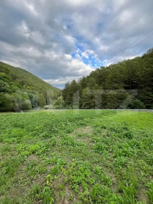 Casa 100 mp utili 4 camere 1,6 ha teren aproape de Trans Apuseana  - imagine 4 Casa 100 mp utili 4 camere 1,6 ha teren aproape de Trans Apuseana  - imagine 4