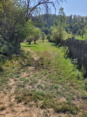 Vand sau schimb - imagine 4