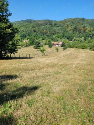 Vand sau schimb - imagine 2