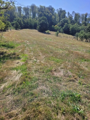 Vand sau schimb - imagine 5