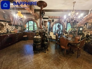 Vilă de lux Otopeni, pentru colecționari, înconjurată de brazi și artă - imagine 5