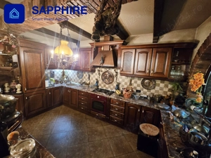 Vilă de lux Otopeni, pentru colecționari, înconjurată de brazi și artă - imagine 6