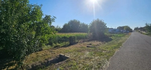 Gelu [Varias]   Teren Intravilan 