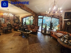 Vilă de lux Otopeni, pentru colecționari, înconjurată de brazi și artă - imagine 8