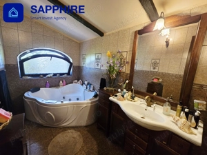 Vilă de lux Otopeni, pentru colecționari, înconjurată de brazi și artă - imagine 11