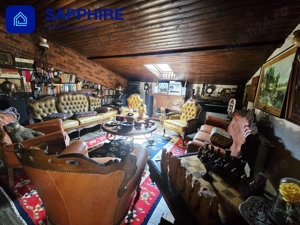 Vilă de lux Otopeni, pentru colecționari, înconjurată de brazi și artă - imagine 17