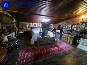 Vilă de lux Otopeni, pentru colecționari, înconjurată de brazi și artă - imagine 16