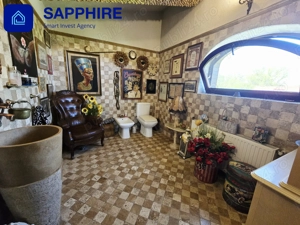 Vilă de lux Otopeni, pentru colecționari, înconjurată de brazi și artă - imagine 18