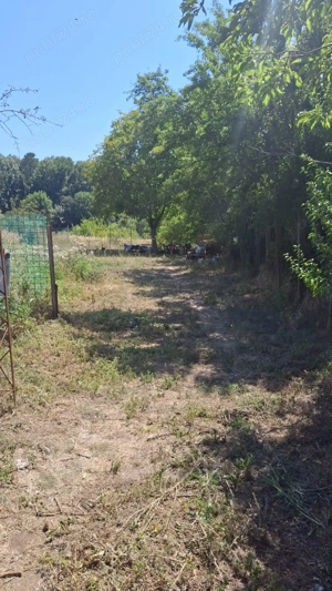 Vând teren intravilan Snagov - imagine 5