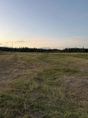 Teren de vanzare in Bucovina - imagine 4