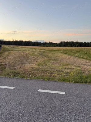 Teren de vanzare in Bucovina - imagine 5