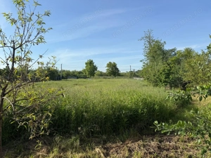 Teren de 3360 mp în exclusivitate, Sânmihaiu Român, vedere la Bega - imagine 3