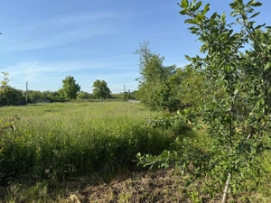 Teren de 3360 mp în exclusivitate, Sânmihaiu Român, vedere la Bega - imagine 2