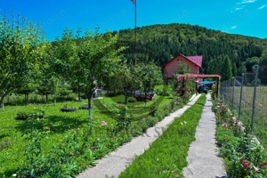 Casa cu 3 camere de vanzare | Cheia, Prahova I Comision 0% - imagine 4