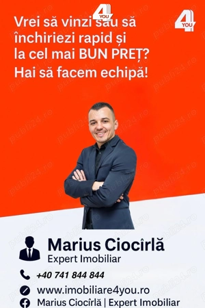 Proprietate cu potențial comercial și vizibilitate maximă în Macea - imagine 6