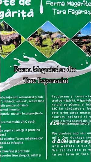 Vând excavator Komatsu. 1.6 t - imagine 2