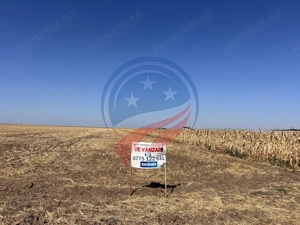 Teren intravilan de vanzare in Pielesti