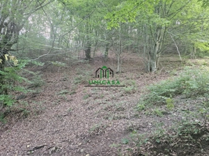 Teren extravilan  cu potential turistic - Brezoi - imagine 4