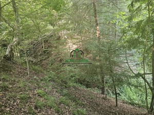 Teren extravilan  cu potential turistic - Brezoi - imagine 3