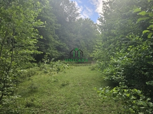 Teren extravilan  cu potential turistic - Brezoi - imagine 2