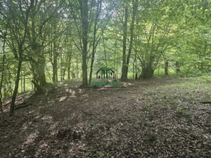 Teren extravilan  cu potential turistic - Brezoi - imagine 5