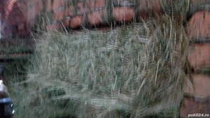 fan de munte calitate extra transport la domiciliu 