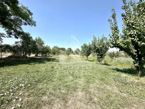 Casa de vanzare in localitatea Dinias - imagine 11 Casa de vanzare in localitatea Dinias - imagine 11