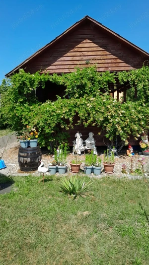 Teren intravilan, Bistrita, Str. Aleea Coacăzelor nr. 29 - imagine 5