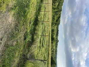 Teren intravilan în Târgu Neamț,Oglinzi 