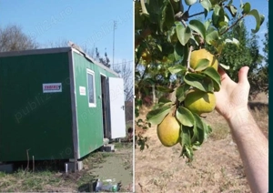 Teren intravilan ecologic  - imagine 4