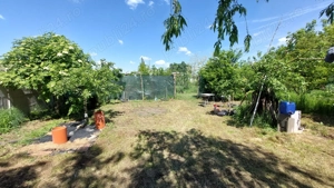 Teren intravilan ecologic  - imagine 8