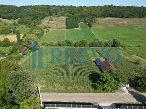 Teren intravilan de vânzare, Sat Bogdănști, Com. Traian - imagine 4