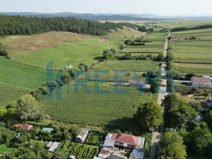 Teren intravilan de vânzare, Sat Bogdănști, Com. Traian - imagine 9