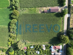 Teren intravilan de vânzare, Sat Bogdănști, Com. Traian - imagine 11