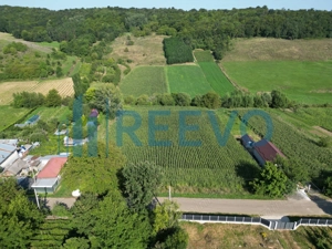 Teren intravilan de vânzare, Sat Bogdănști, Com. Traian - imagine 6