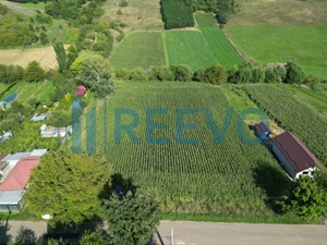 Teren intravilan de vânzare, Sat Bogdănști, Com. Traian - imagine 3