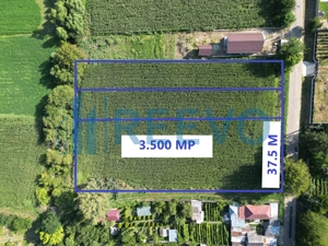 Teren intravilan de vânzare, Sat Bogdănști, Com. Traian