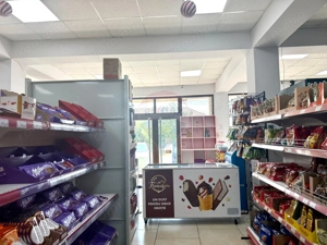 Spațiu comercial de vânzare in Cobadin - imagine 12