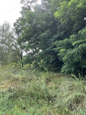 VAND TEREN PENTRU CONSTRUCTII, COM.CETATENI - ARGES - imagine 4 VAND TEREN PENTRU CONSTRUCTII, COM.CETATENI - ARGES - imagine 4