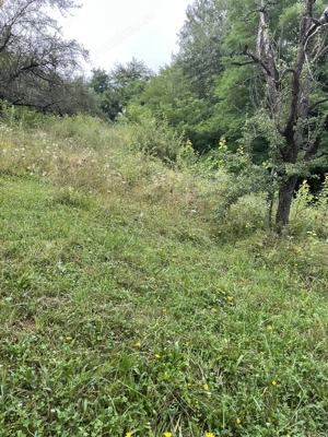 VAND TEREN PENTRU CONSTRUCTII, COM.CETATENI - ARGES - imagine 6 VAND TEREN PENTRU CONSTRUCTII, COM.CETATENI - ARGES - imagine 6