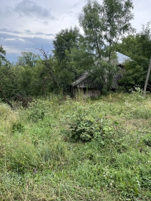 VAND CASA BATRANEASCA, 3,1 HA IN JURUL CASEI, COM.CETATENI - imagine 5
