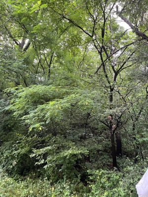 VAND TEREN PENTRU CONSTRUCTII, COM.CETATENI - ARGES - imagine 3 VAND TEREN PENTRU CONSTRUCTII, COM.CETATENI - ARGES - imagine 3