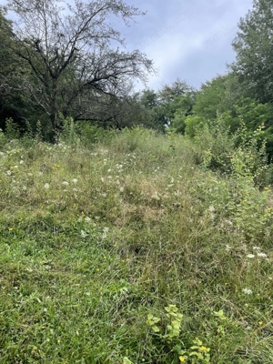 VAND TEREN PENTRU CONSTRUCTII, COM.CETATENI - ARGES - imagine 7 VAND TEREN PENTRU CONSTRUCTII, COM.CETATENI - ARGES - imagine 7