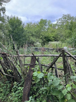 VAND CASA BATRANEASCA, 3,1 HA IN JURUL CASEI, COM.CETATENI - imagine 7