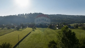 Teren intravilan 7.255 mp +casă rustică – ideal pensiune în Vama Buzău - imagine 14